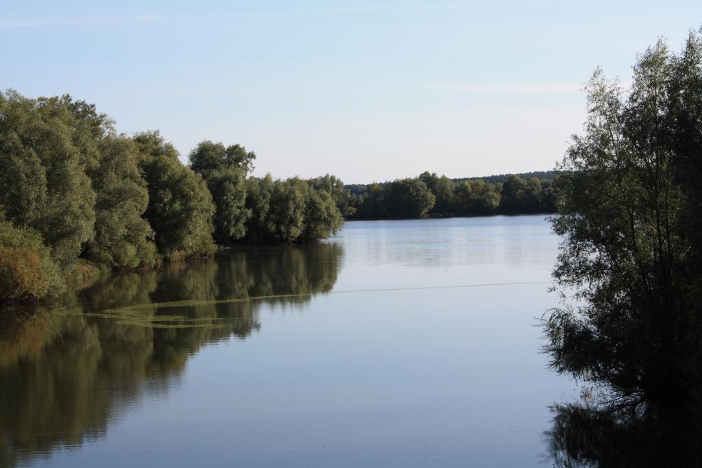 Hotel Scholz Hitzacker Zewnętrze zdjęcie