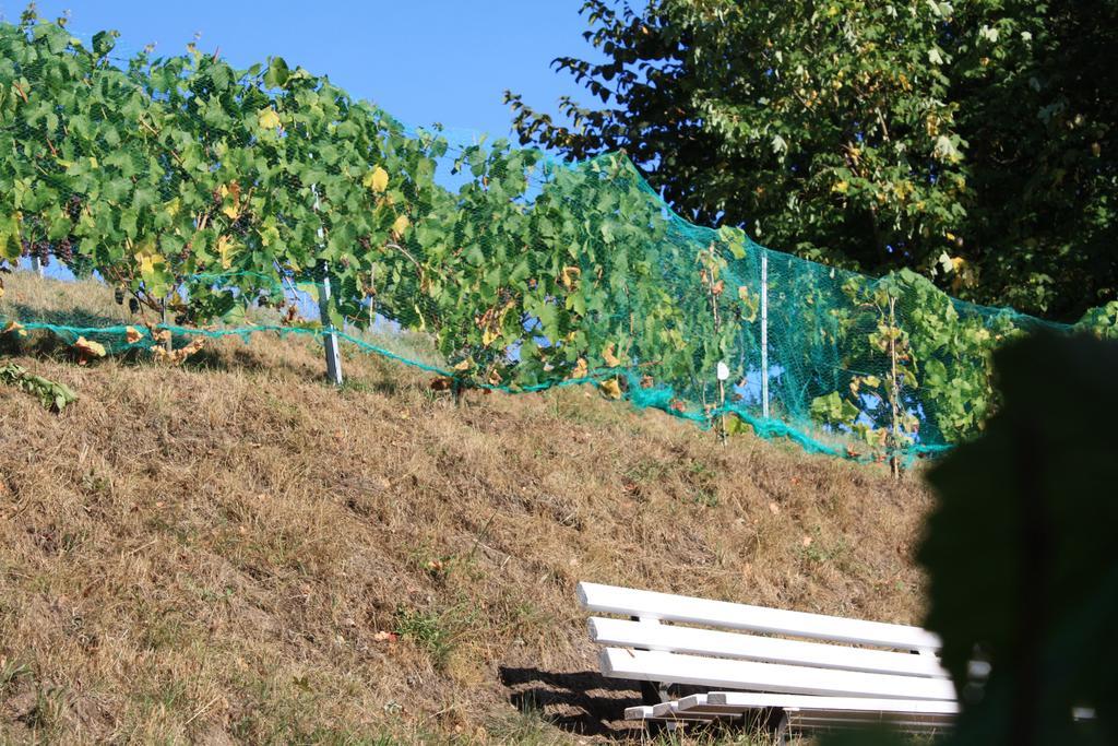 Hotel Scholz Hitzacker Zewnętrze zdjęcie